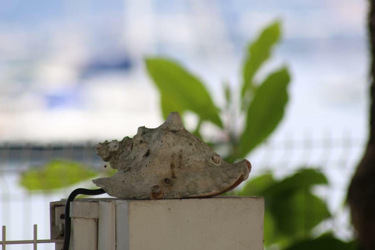 Studio Ds Residence Securisee Avec Vue & Acces A La Mer . Le Moule Bagian luar foto